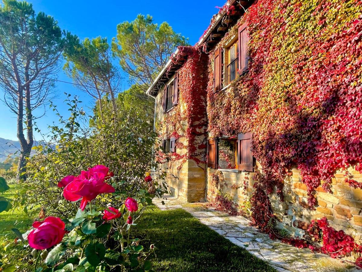 La Panoramica Gubbio - Maison De Charme - Casette E Appartamenti Self Catering Per Vacanze Meravigliose! ภายนอก รูปภาพ