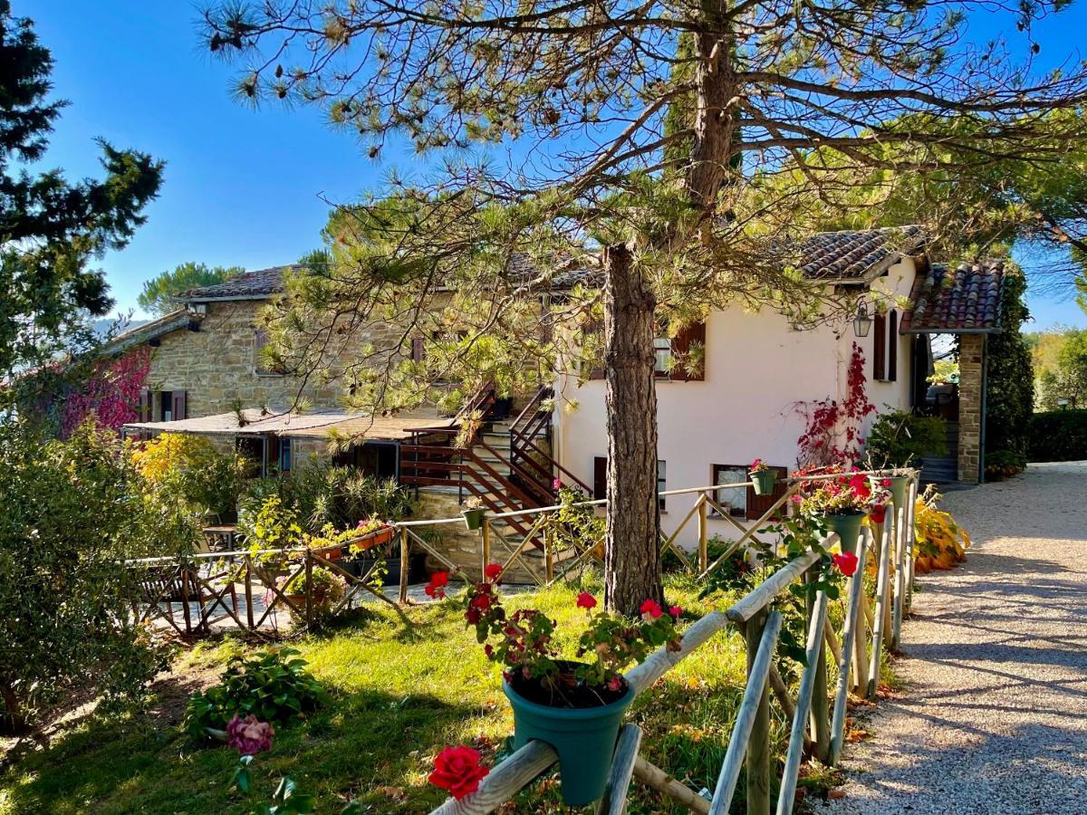 La Panoramica Gubbio - Maison De Charme - Casette E Appartamenti Self Catering Per Vacanze Meravigliose! ภายนอก รูปภาพ
