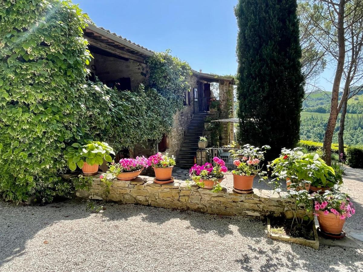 La Panoramica Gubbio - Maison De Charme - Casette E Appartamenti Self Catering Per Vacanze Meravigliose! ภายนอก รูปภาพ