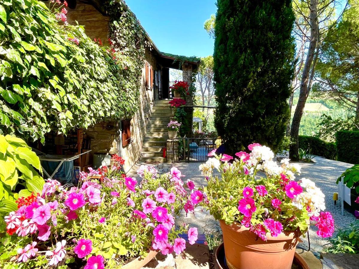 La Panoramica Gubbio - Maison De Charme - Casette E Appartamenti Self Catering Per Vacanze Meravigliose! ภายนอก รูปภาพ
